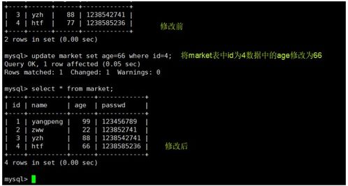 MySQL數據庫管理